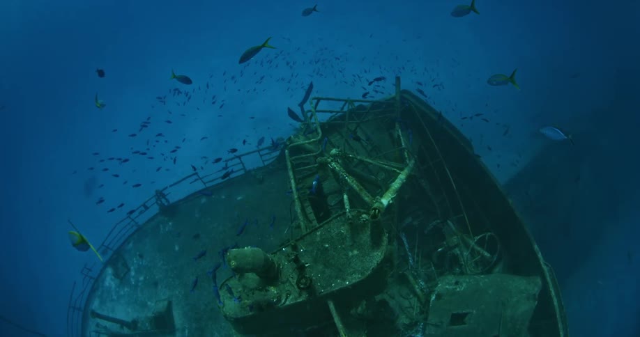 Sunken ship with fish swimming over it