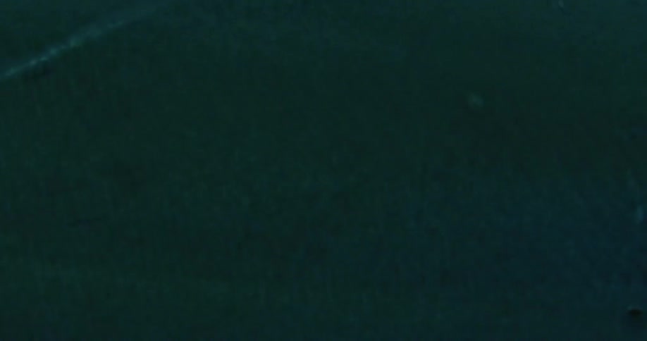 A shark moves close past the view