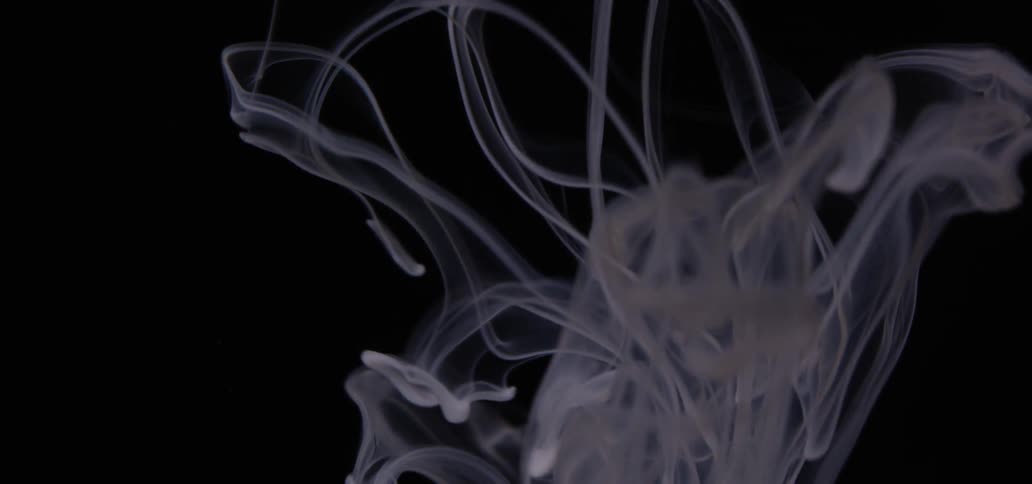 White liquid falls into a black background