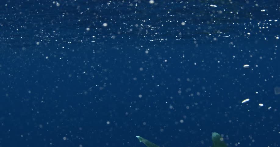 Ocean waves crashing and bubbling on the surface