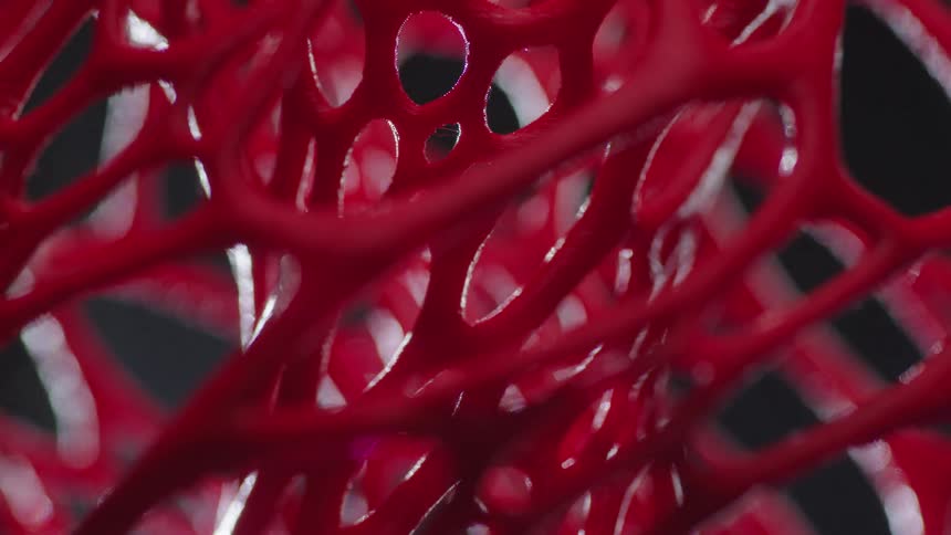 Changing light brightens then darkens branches of crimson art shape