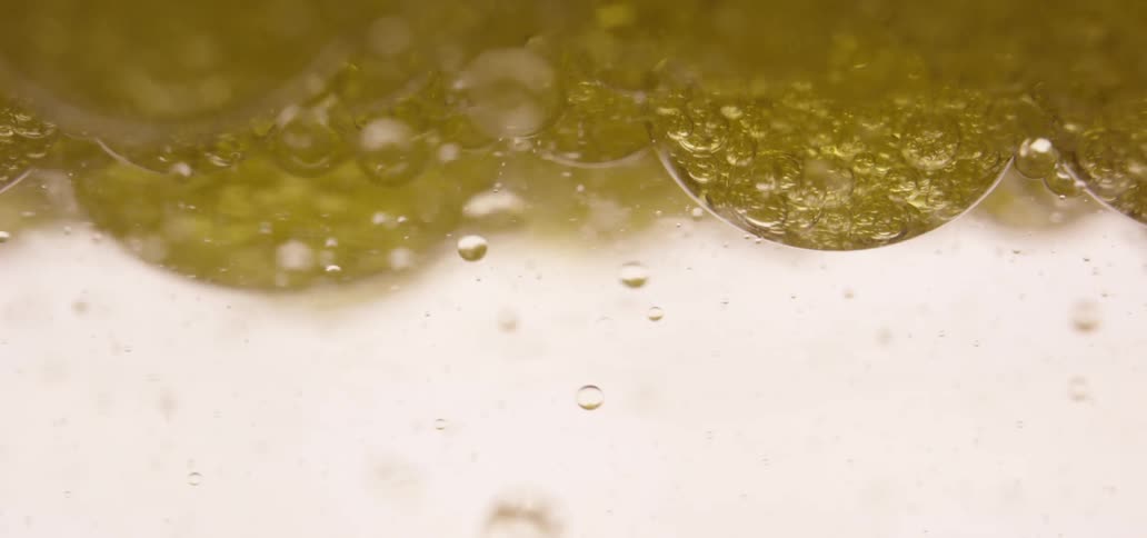 Bubbles up close