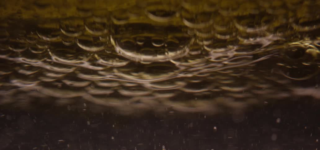 Bubbles form under microscopic observation