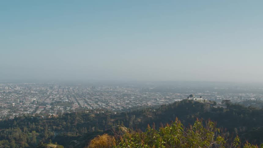 The wilderness with plants and trees with a city the sky and clouds in the background