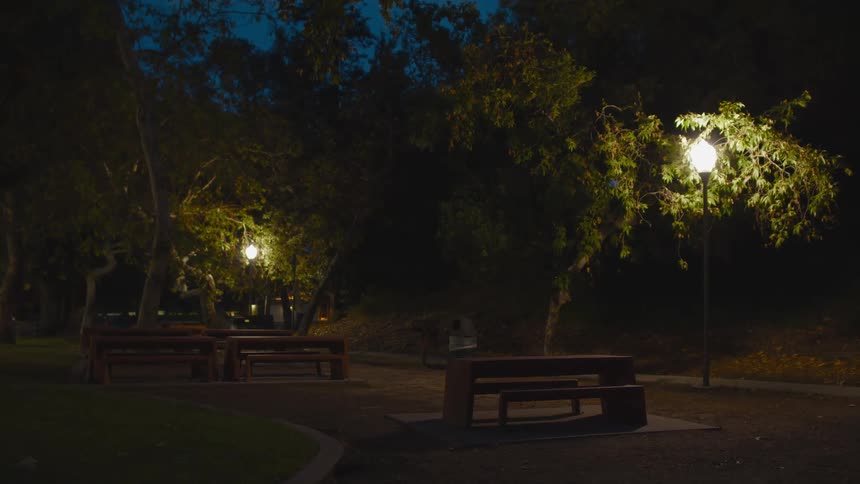 Park night lights lighting a row of benches and tables at night