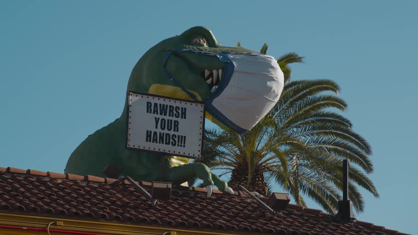 A palm tree blows in the wind next to an artificial dinosaur wearing a face mask and holding a sign