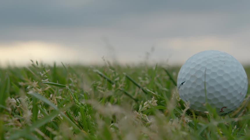 Golf ball in grass