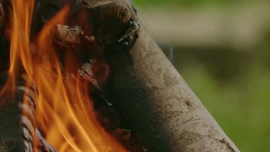 Flames rising from a piece of burning wood