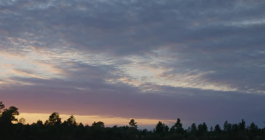 Silhouettes of trees under a colorful cloudy sky