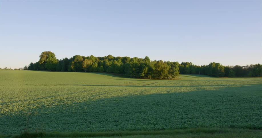 Mowed grass and low growing plants stretch to tree covered hill under blue sky
