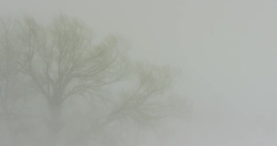 Snow blowing and causing a white out