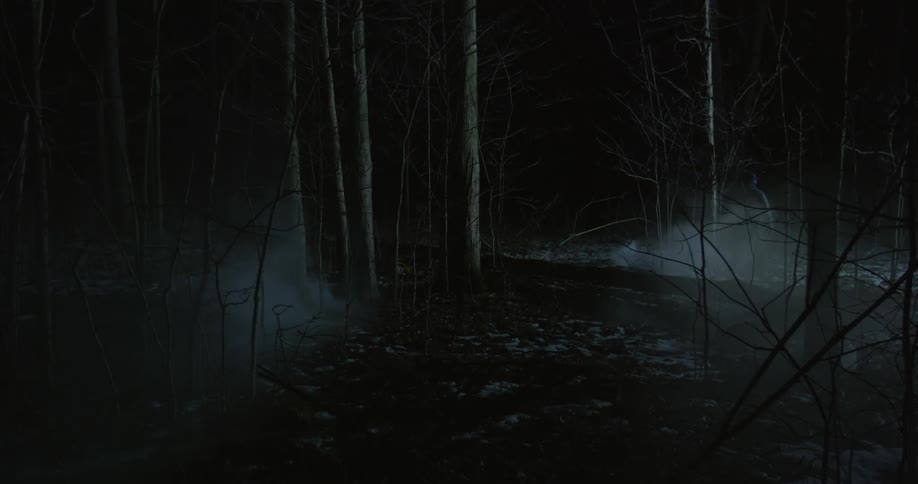 A man walking through a dark forest at night