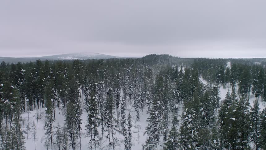 Man Walking With Snowshoes