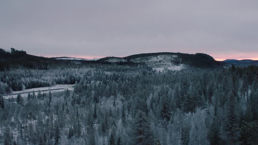A snowy forest at sunrise