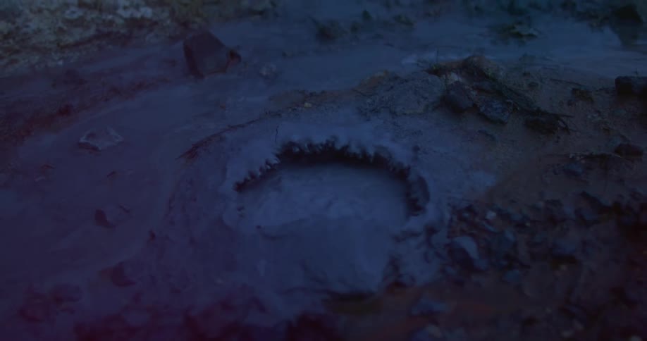 The water in the stream is bubbling