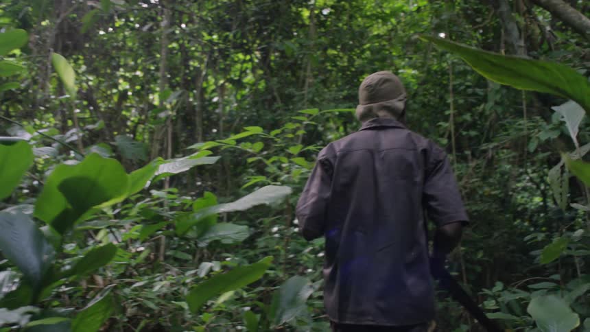 A man uses a machete as he walks through dense jungle brush