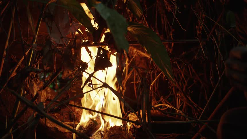 Men Hunt In The Jungle