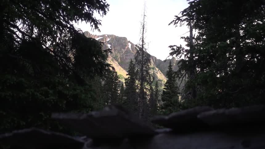 A rocky mountain peak beyond a forest