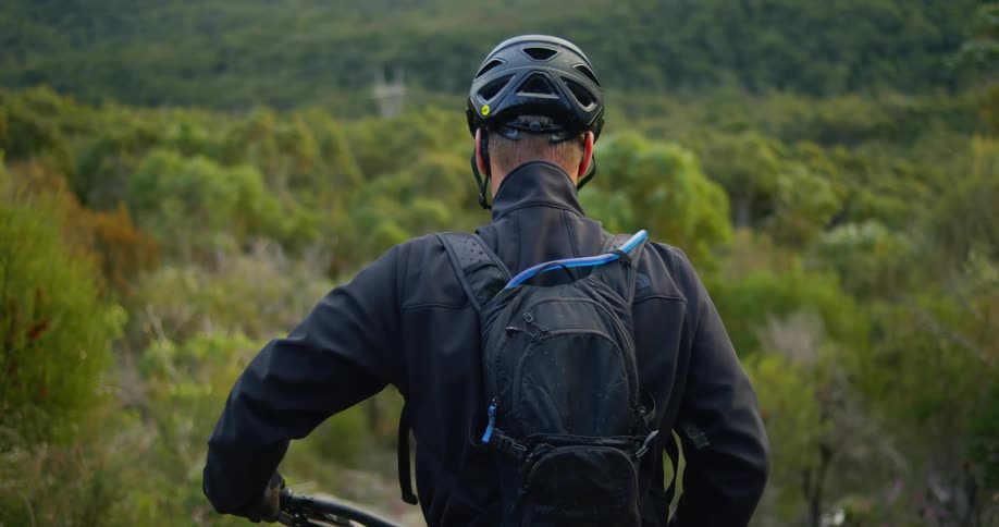Man looking into forest