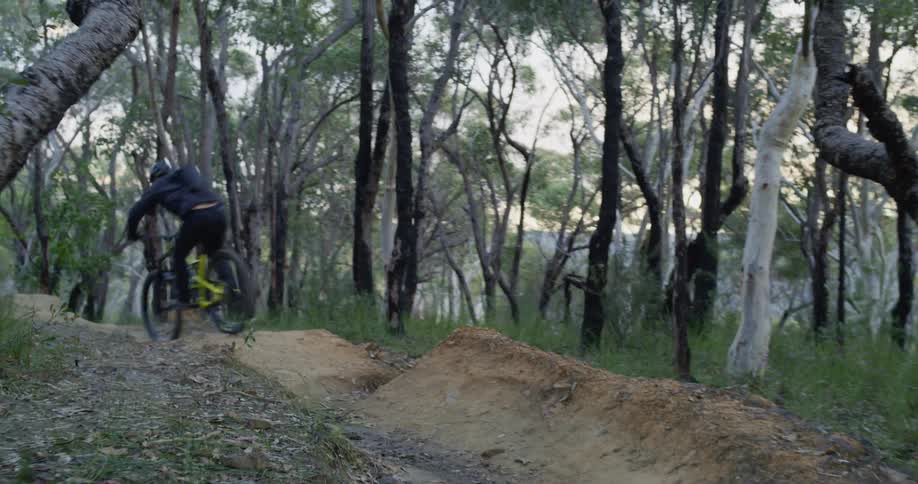 A person rides a bicycle on a woodland path