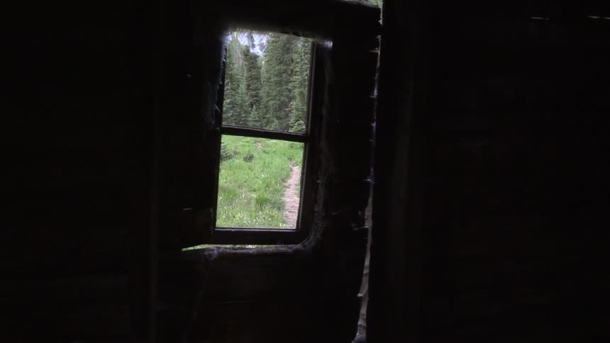 Inside a dark building looking out a window