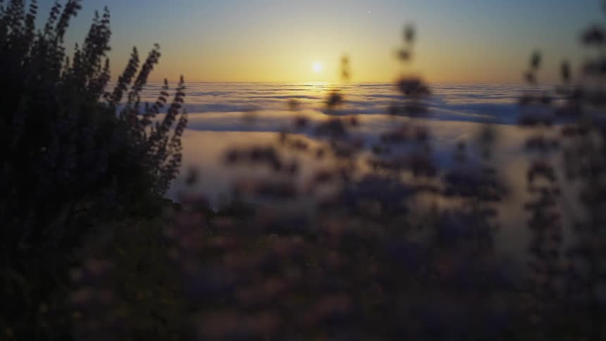 A landscape at sunset
