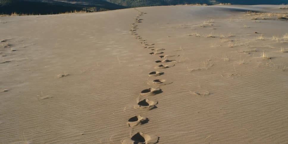 Sand with prints