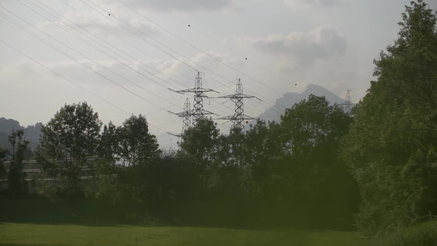 Electrical wires with trees infront