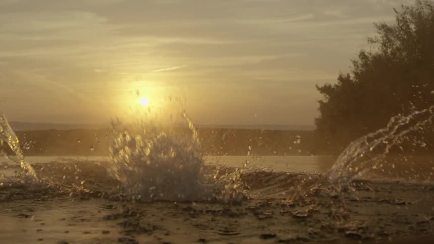 A man dives into the water by the shore