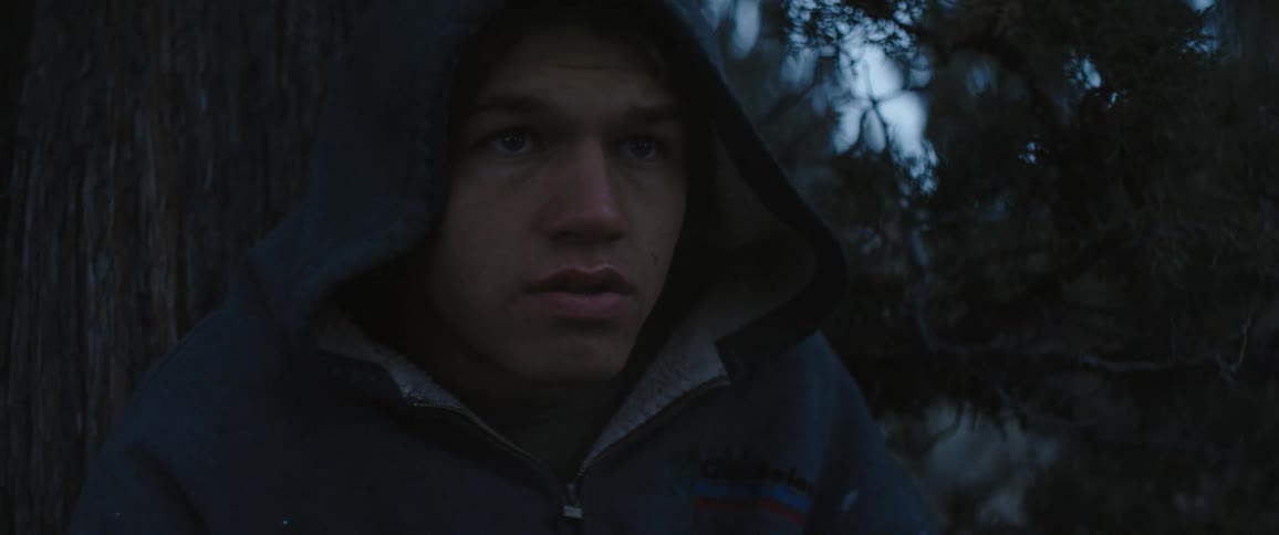 A man sits in a forest alone at dusk