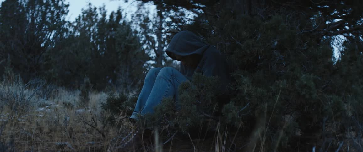 Man wearing a hoodie sitting on the bushes in the countryside at morning