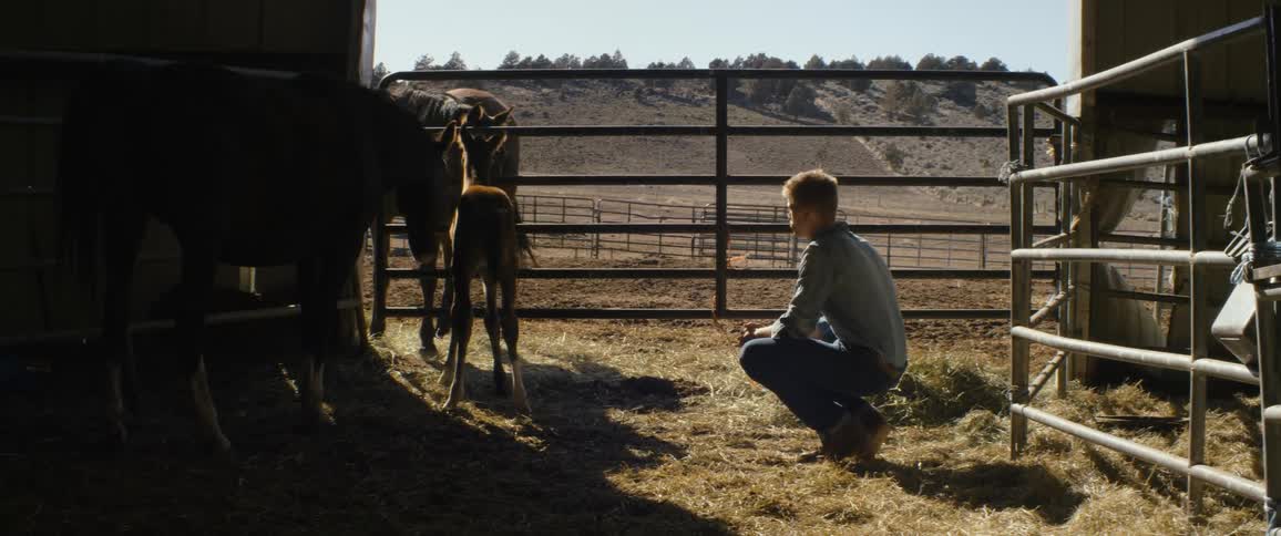 Young teen man crouchs in front of a colt on a stable in a farm