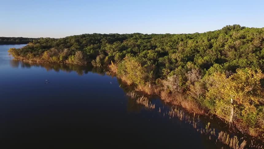 Tree filled land beside a body of water