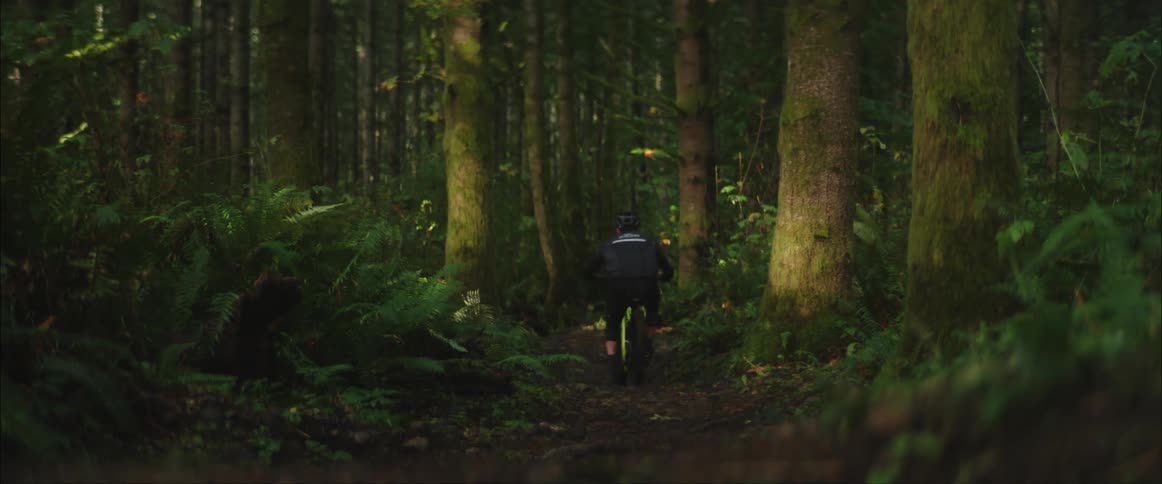 Two bicyclists jump and leap as they ride through a forest
