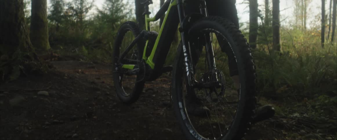A person walking a bicycle in a forest with the sky and clouds in the background