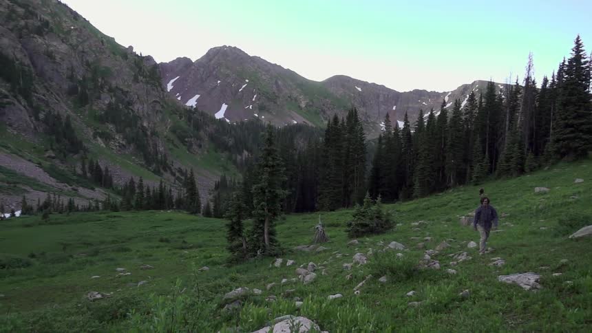 A person walks through a green field with mountains and trees in the background