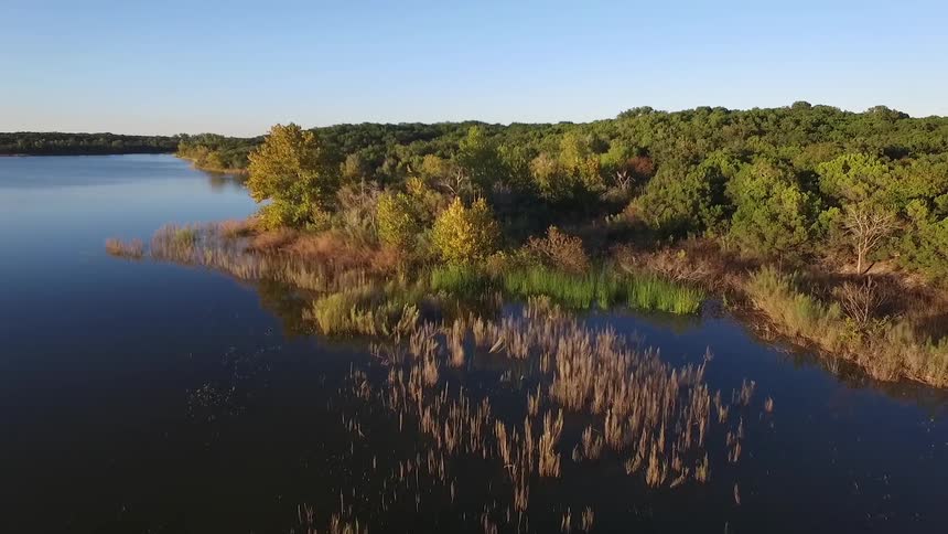 A large lake and marsh lands surrounded by many green bushes and trees