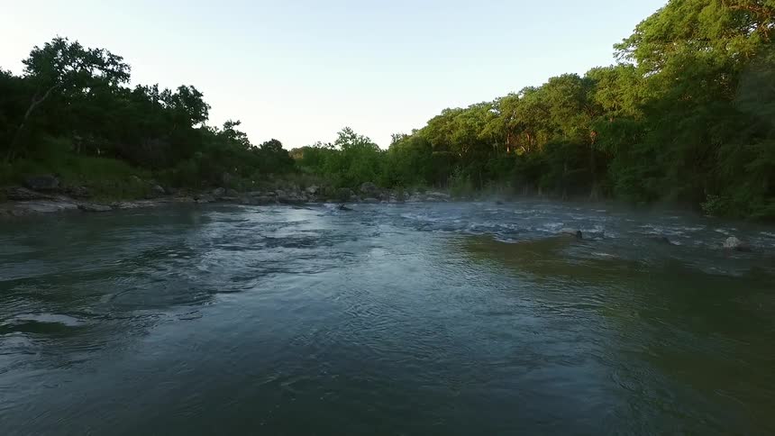 Moving over a stream surrounded by trees