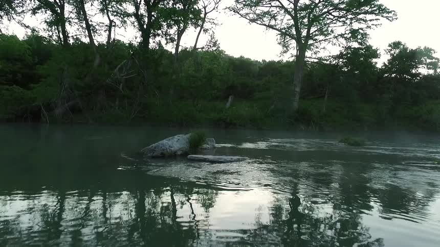 Moving over a stream with trees on the side