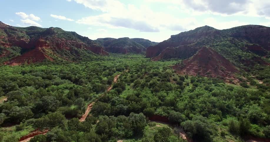 Aerial view of a tree covered area before a mountain range