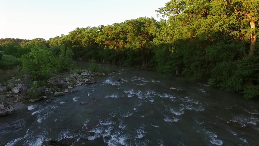A rough stream is surrounded by trees