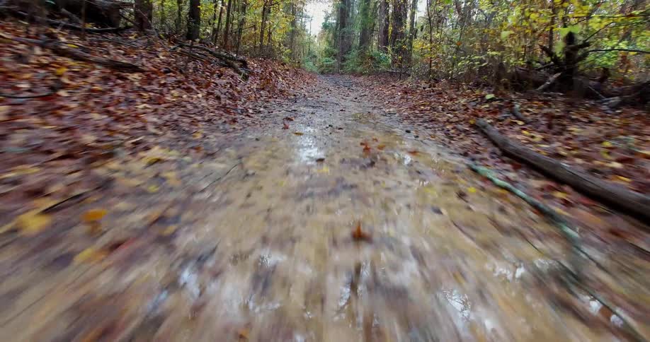 Fast-moving view of a wet trail through a forest in the fall
