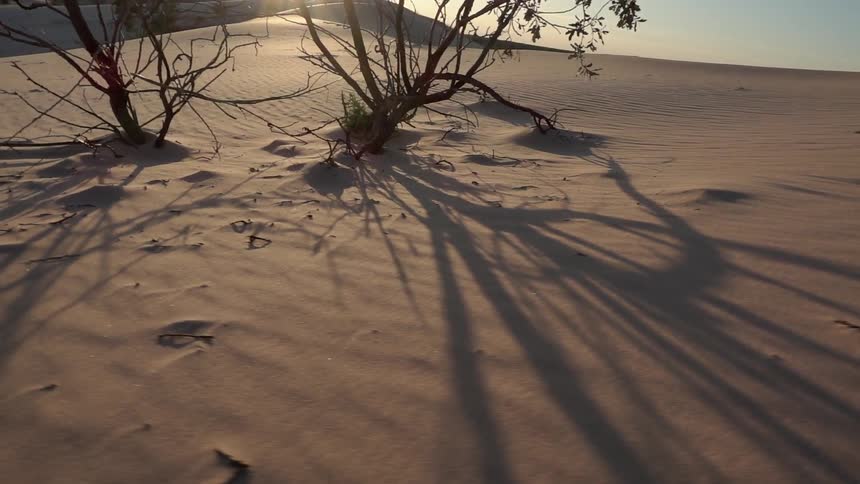 The sun is setting over a desert