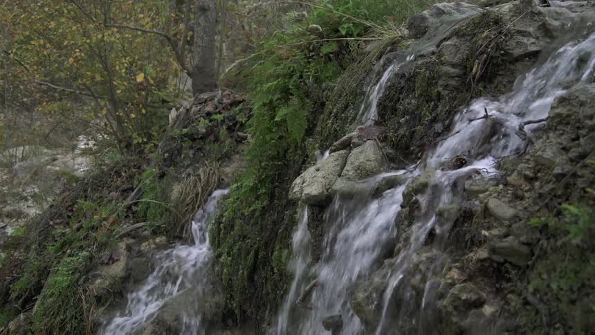 Water falling down a rocky, leafy cliff