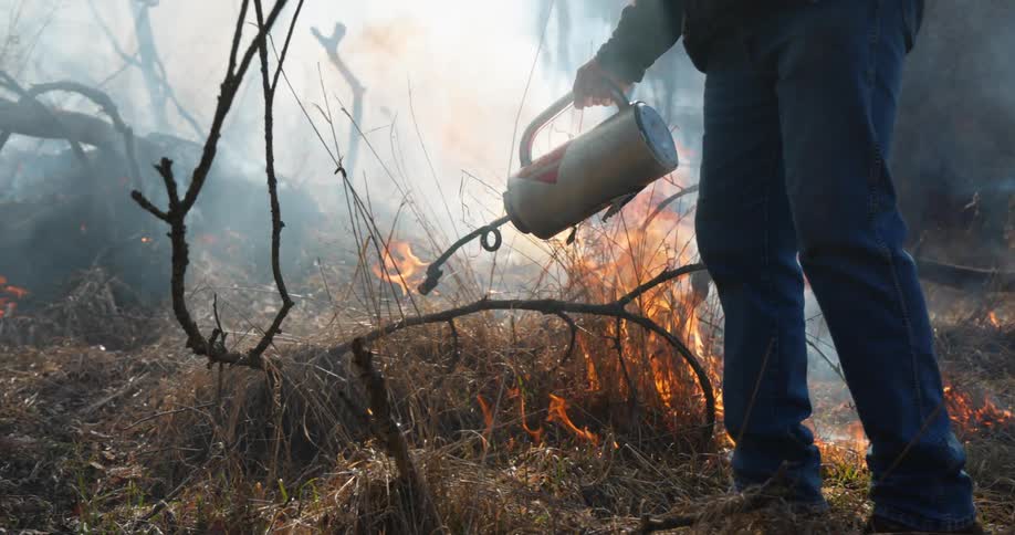 Man uses a torch for a controlled fire on the bushes in the forest
