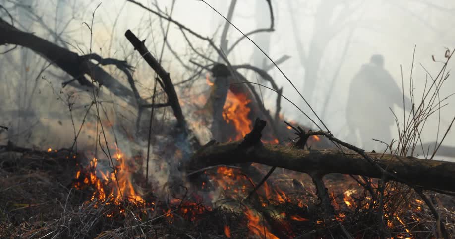 A person burning branches