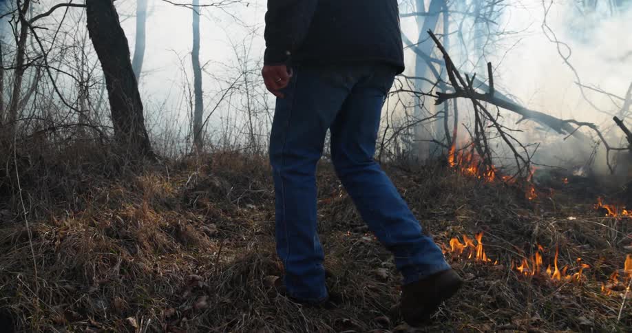 A man slowly walks through a dry forest while deliberately setting vegetation on fire during a controlled burn