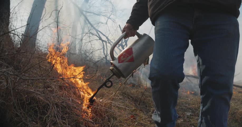 A man uses a small flamethrower to ignite dead grass as he walks through a woodland during the day
