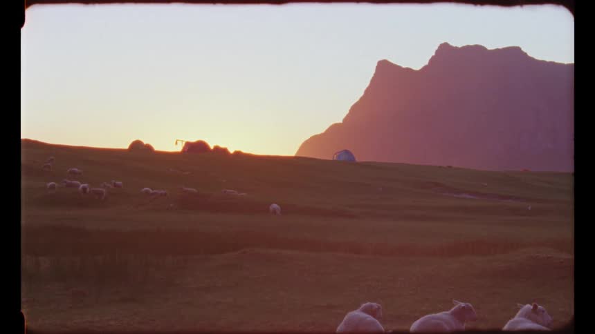 The silhouette of huts on a ridge with a herd of sheep grazing on grass on the slope below