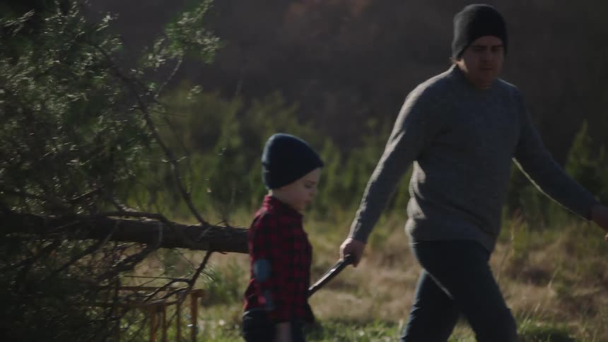 A man and son drag a chopped down tree outside